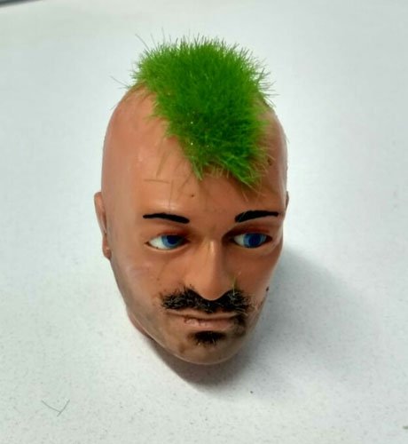 Cabeza Punk Green2.jpg