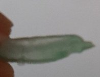 20231209_111436.jpg