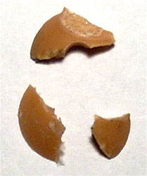 Piezas de la articulaci�n que hay al lado del antebrazo.