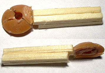 Reconstruccion lista para moldear.